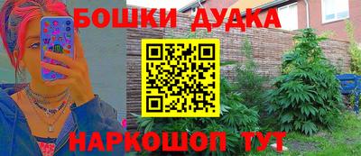 дживик Новодвинск