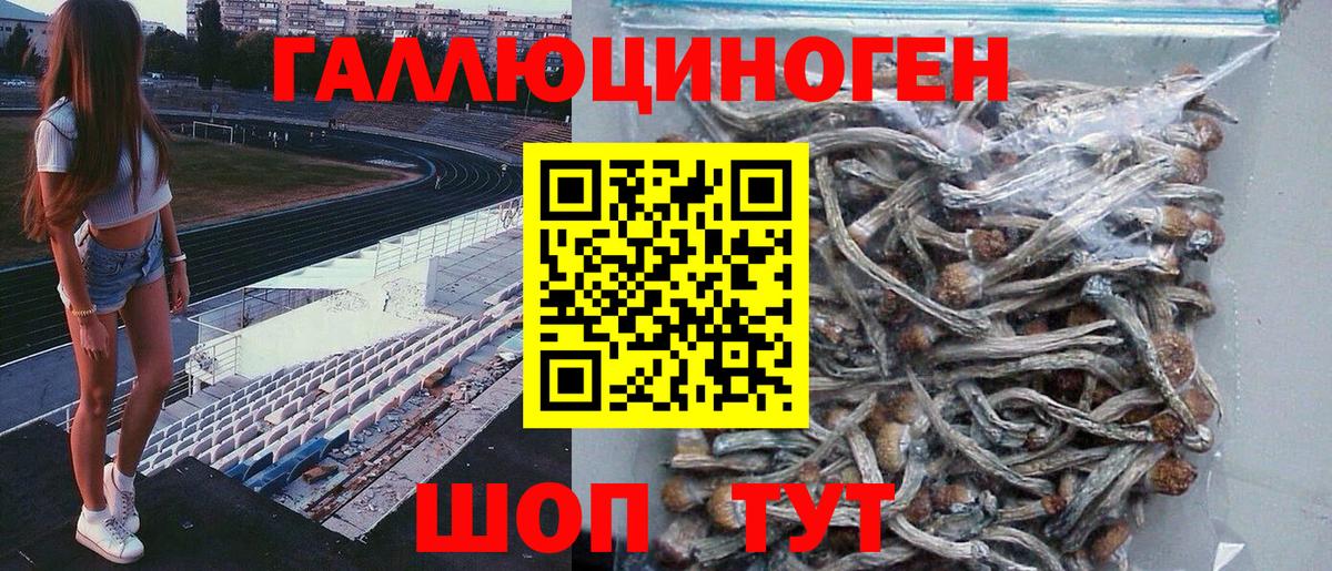 Псилоцибиновые грибы Magic Shrooms  Псилоцибиновые грибы Psilocybe  Махачкала  хочу наркоту  Вход с VPN 
